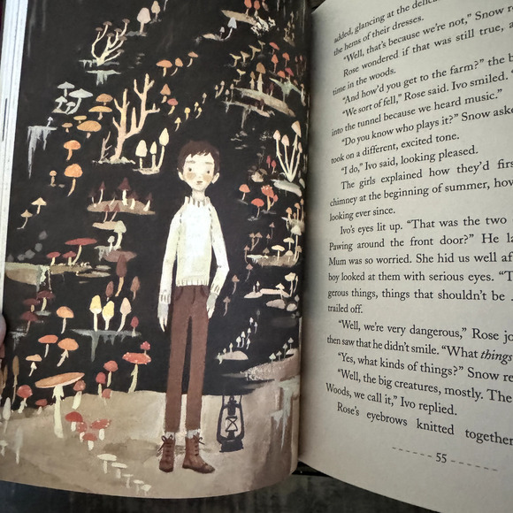 Snow & Rose by Emily Winfield Martin (2017, Hardcover) First Edition - Picture 5 of 6